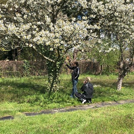 Hof Maerkische Heide Vandrehjem Brandenburg  Eksteriør billede