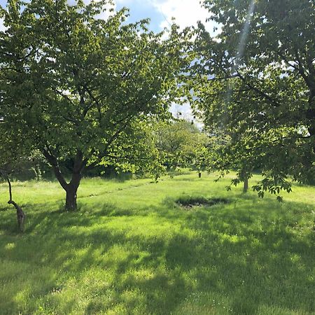 Hof Maerkische Heide Vandrehjem Brandenburg  Eksteriør billede